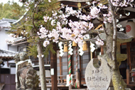宝塚神社8